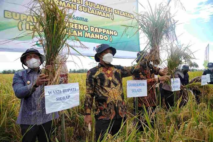 WhatsApp Image 2022-04-04 at 16.14.34