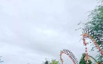 Pengunjung, Padati Hari Kedua Expo UMKM dan Pameran Potensi Daerah Luwu Utara