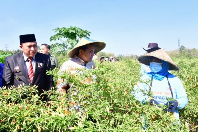 6e82a2d0-5dd8-43f2-89e6-e1c89908fb04