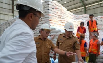 Stok Beras Cukup Hingga Akhir Tahun, Pj Gubernur Bahtiar Apresiasi Kinerja Bulog Sulsel