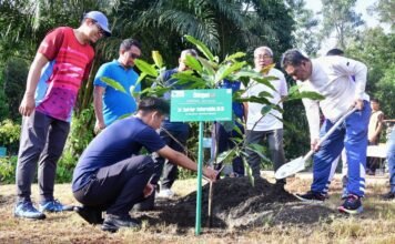 Terima Saran Pj Gubernur Sulsel, PT Vale Akan Tanam Sukun untuk Rehabilitasi Lahan Tambang