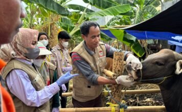 Sambut Idul Adha, DP2 Kota Makassar Sosialisasi dan Periksa Ribuan Hewan Kurban