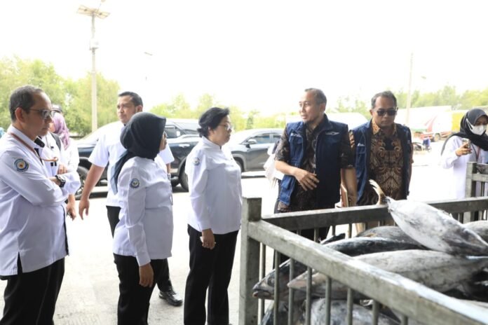 WhatsApp Image 2025-03-30 at 07.53.30