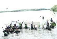 Dukung Keberlanjutan Ekosistem Pesisir, DPP Peradah Sulsel – PLN Nusa Daya UP Sulawesi 2 Tanam 1000 Mangrove