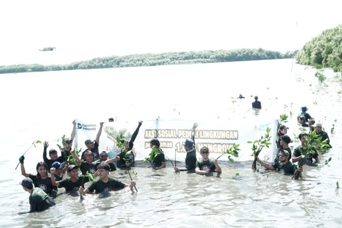mangrove