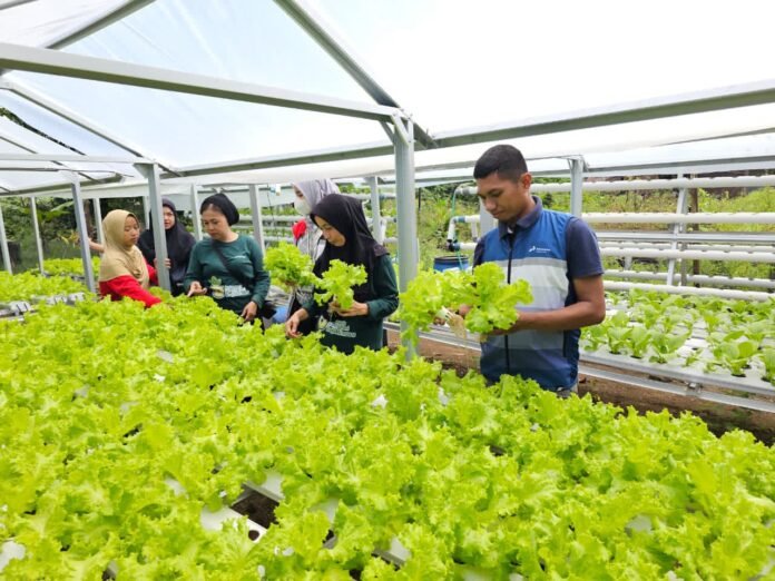 WhatsApp Image 2025-11-02 at 15.12.44