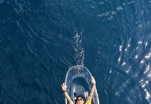 Nikmati Pesona dan Sensasi Kemunculan Hiu Paus Botubarani di Teluk Gorontalo