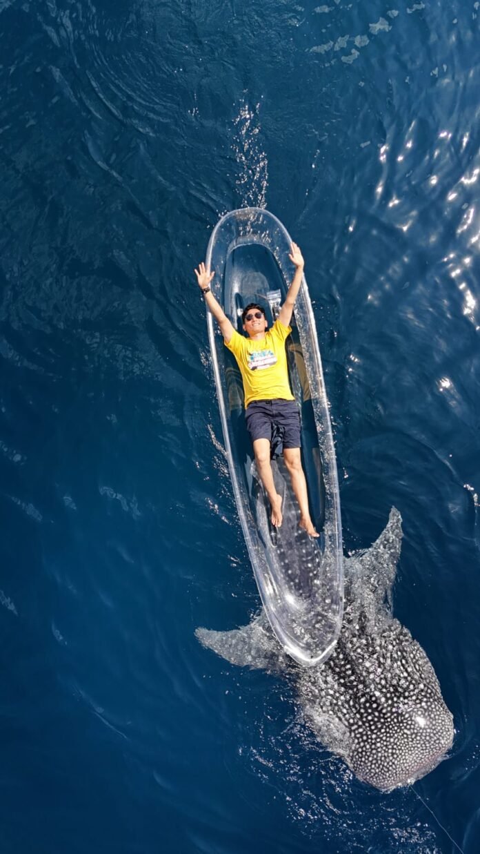 Nikmati Pesona dan Sensasi Kemunculan Hiu Paus Botubarani di Teluk Gorontalo