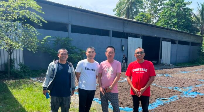 Pelaku Usaha Rumput Laut Lutim Alami Penurunan Produktifitas