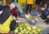 Tim Pengabdian Unhas Bantu BUMDes Bone Tingkatkan Mutu Produksi Tepung Sukun