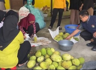 Tim Pengabdian Unhas Bantu BUMDes Bone Tingkatkan Mutu Produksi Tepung Sukun