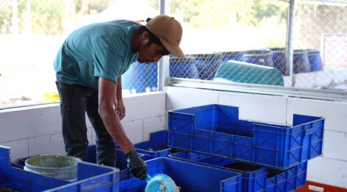 Fakultas Peternakan Unhas Kelola 2,8 Ton Sampah Organik, Kembangkan Budidaya Maggot