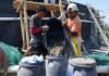 Unhas Panen 60 Ton Udang Vaname di Jeneponto