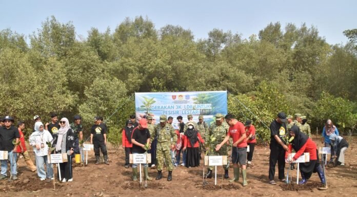 DPW LDII Sulsel Tanam 1.000 Mangrove di Lantebung