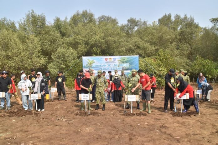 LDII menanam mangrove